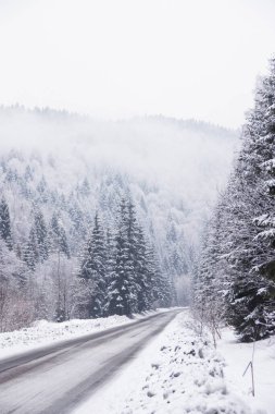 Dağlarda kış yolu ve karlı ağaçlar. Polonya,
