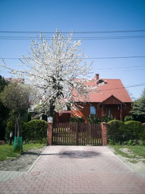 Mavi gökyüzü arka planında çiçek açan ağaçların yanındaki güzel kahverengi iki katlı ev..