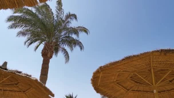 Blick unter einem Strohstrand mit Palmen und blauem Himmel, auf Sandstrand und Meer, Strandurlaub in Ägypten
