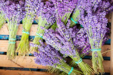 Turkuaz arka planda ahşap sepetin içinde bir demet lavanta. Flatlay Fransız Kaynağı tarzı çiçek çiçeği. Lavanta aromaterapisi. Kurutulmuş lavanta çiçekleri