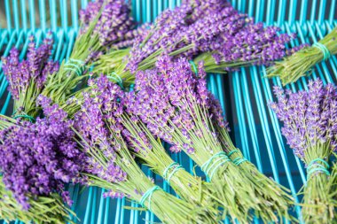 Bir demet lavanta turkuaz arka plan. Flatlay Fransız Kaynağı tarzı çiçek çiçeği. Lavanta aromaterapisi. Kurutulmuş lavanta çiçekleri