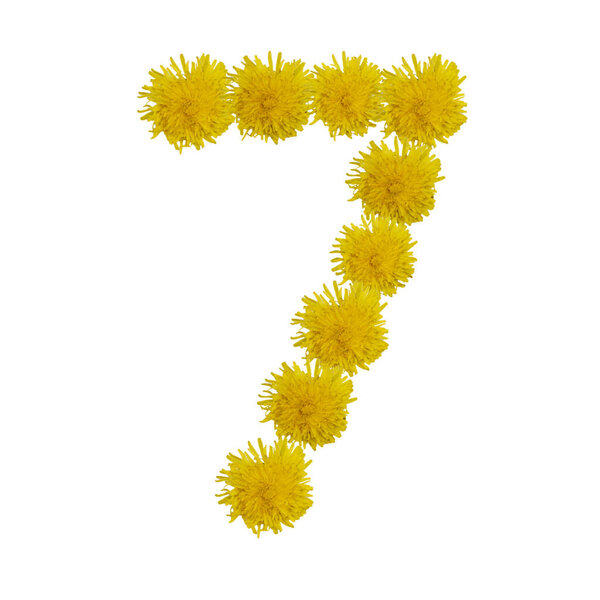 Номер семь цветов, фигуры из одуванчиков, изолирован