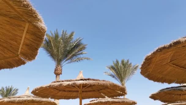 Blick unter einem Strohstrand mit Palmen und blauem Himmel, auf Sandstrand und Meer, Strandurlaub in Ägypten