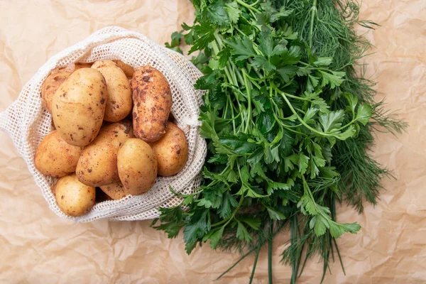 Fresh potatos in potato bag after harvest, dill, parsley, top view,