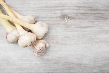 garlic on old wooden table. New harvest garlic