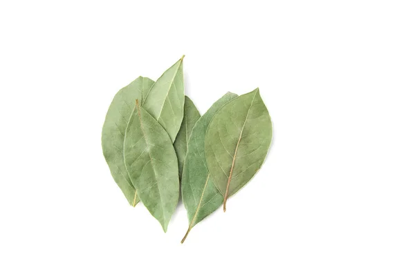Dried bay leaf isolated on the white background. Top view. — Stock Photo, Image