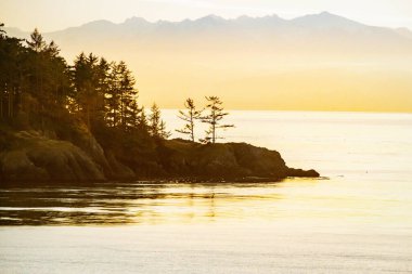Sahilde duran çam ağaçları ve gün batımında Olimpik Dağlar..