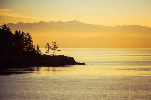 日落时分 在海岸上与奥林匹克山相望的松树 — 图库照片