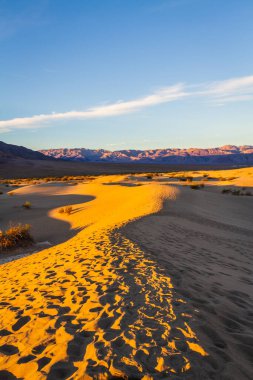 Gün doğumunda Ölüm Vadisi Ulusal Parkı 'ndaki kum tepelerinde ayak izleri..
