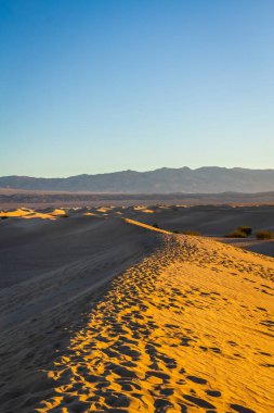 Gün doğumunda Ölüm Vadisi Ulusal Parkı 'ndaki kum tepelerinde ayak izleri..