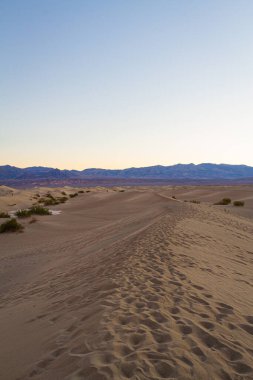 Gün doğumunda Ölüm Vadisi Ulusal Parkı 'ndaki kum tepelerinde ayak izleri..