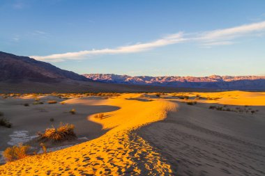 Gün doğumunda Ölüm Vadisi Ulusal Parkı 'ndaki kum tepelerinde ayak izleri..
