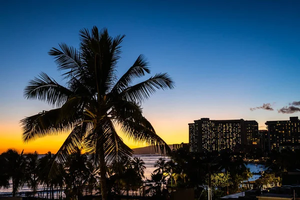 하와이 오하우 와이키키 해변을 호텔의 불빛을 야자수 그루가 하늘로 모습을 — 스톡 사진
