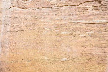 Utah 'taki Capitol Resifi Ulusal Parkı' ndaki bir kanyon duvarındaki petrogliflerin yakın çekimi.