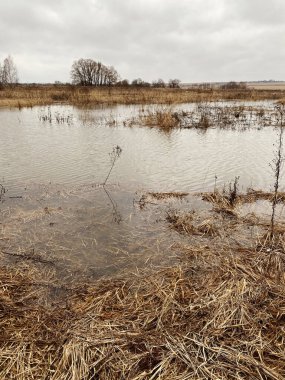Bataklık. Bahar baskını. Yüksek su. Pınar suyu. İlkbaharda nehir akıyor. İlkbaharda sel.