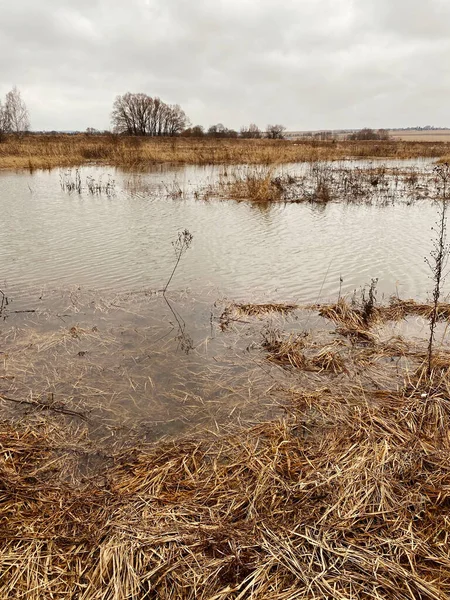 Bataklık. Bahar baskını. Yüksek su. Pınar suyu. İlkbaharda nehir akıyor. İlkbaharda sel.