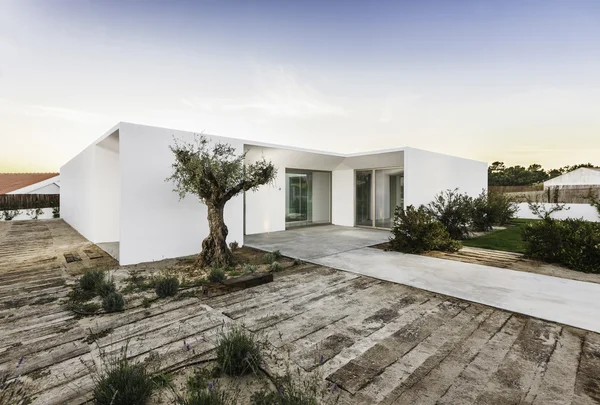 정원 수영장과 나무 갑판이 있는 현대식가옥 — 스톡 사진