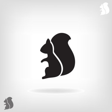 Beyaz bir arka plan üzerinde izole sincap.