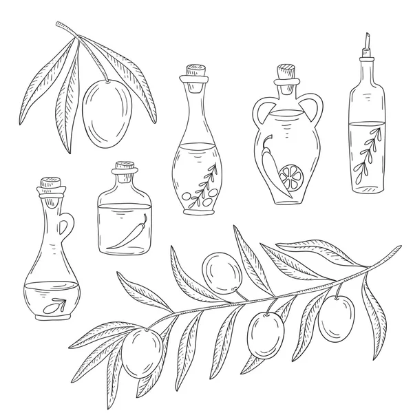 Drzewo gałąź oliwy z oliwek i butelka oleju na białym tle — Wektor stockowy