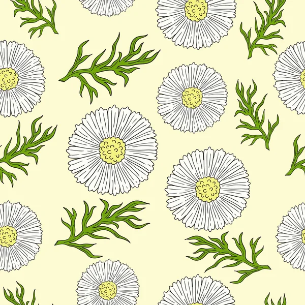 Pattern with camomile and leaves hand drawing. — Stock Vector