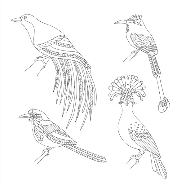 Set of tropical birds hand draw on a white background.