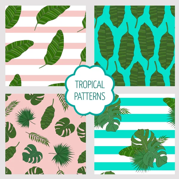 Set patronen. Bladeren van de tropische palmbomen. — Stockvector
