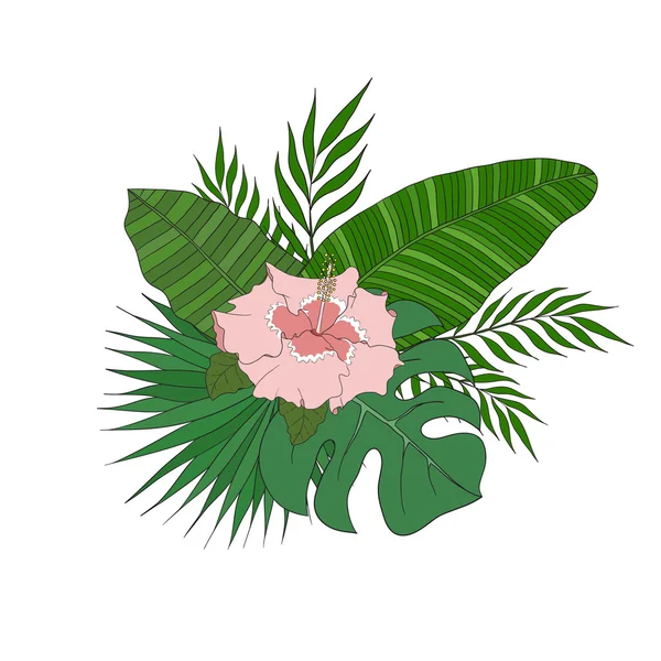 Conjunto de hojas diferentes especies palmeras y flor de hibisco . — Vector de stock