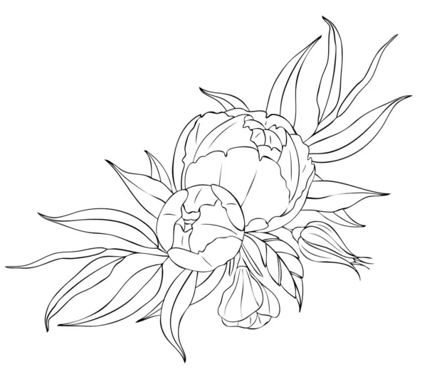 Flores y hojas de peonía, composiciones de tatuajes. Ilustración lineal negra aislada sobre fondo blanco . — Vector de stock