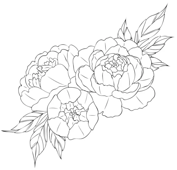 Peony flowers and leaves, tattoo compositions. Black linear illustration isolated on a white background. — Stock Vector