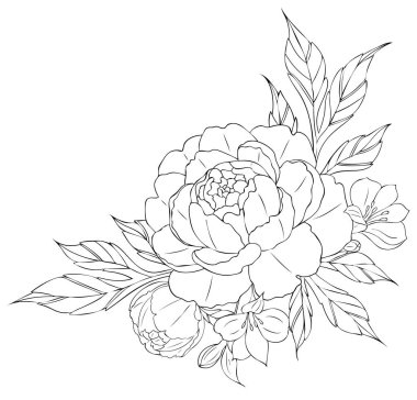 Şakayık çiçekleri ve yapraklar, dövme kompozisyonları. Beyaz arkaplanda izole edilmiş siyah doğrusal çizim.