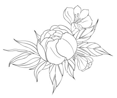 Şakayık çiçekleri ve yapraklar, dövme kompozisyonları. Beyaz arkaplanda izole edilmiş siyah doğrusal çizim.