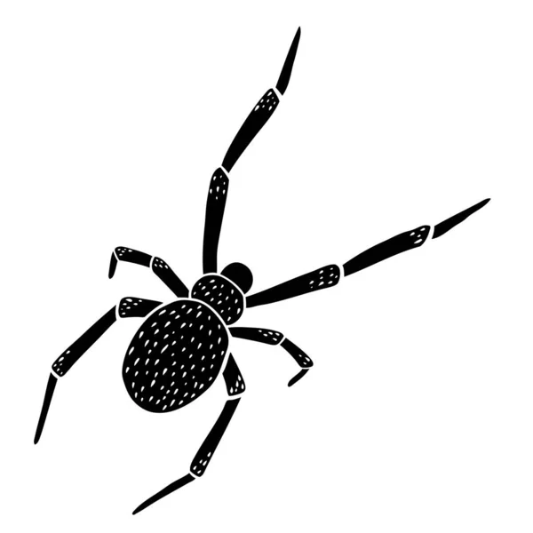 Kézzel rajzolt fekete pók. Vektorillusztráció. — Stock Vector