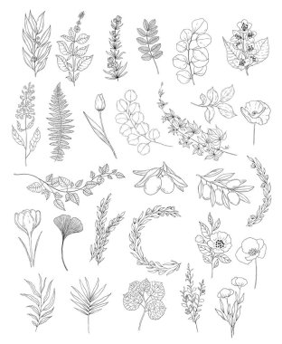 Botanik seti siyah ve beyaz grafik çiçekleri. Logo ve düğün dekorasyonu yapmak için temel unsurlar.