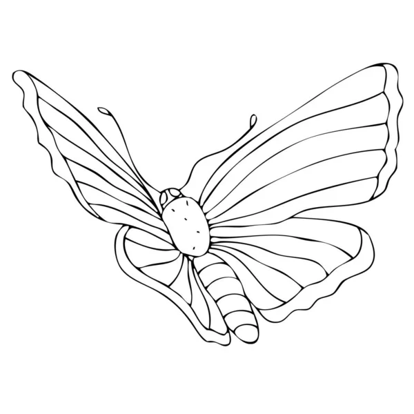 Mariposa aislada en blanco y negro sobre fondo blanco. Ilustración vectorial. — Vector de stock