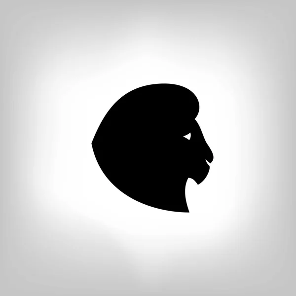 Stylized lion head - vector illustration Vector Graphics
