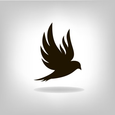 Картина, постер, плакат, фотообои "черная птица с распростертыми крыльями
", артикул 54108291