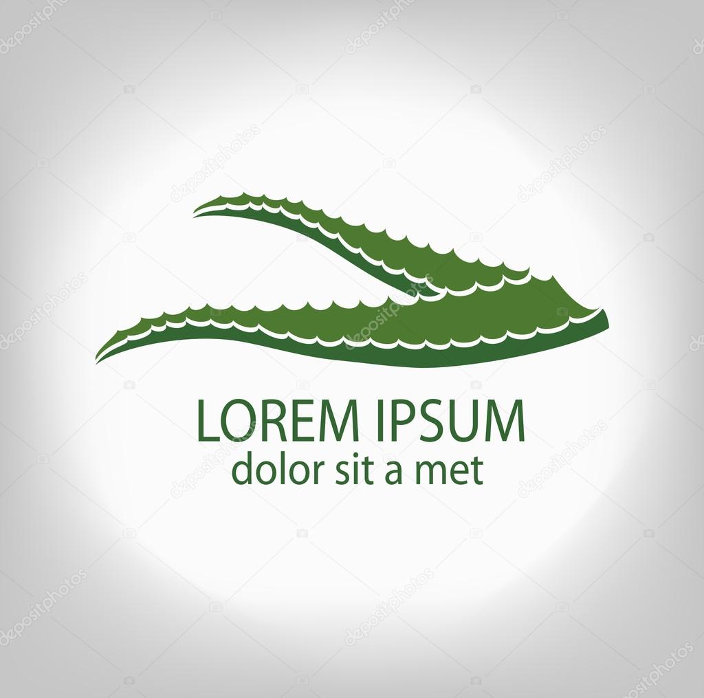 Aloe-vera. Leaf logo, concept, branding sign company.