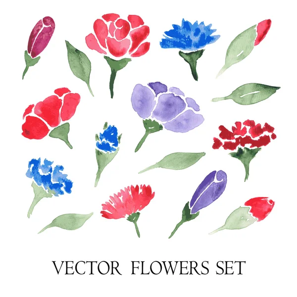 Suluboya çiçeklerin vektör kümesi