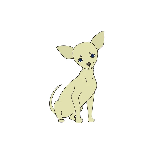 Pies Chihuahua — Wektor stockowy