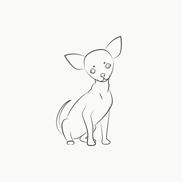 Chihuahua perro — Vector de stock