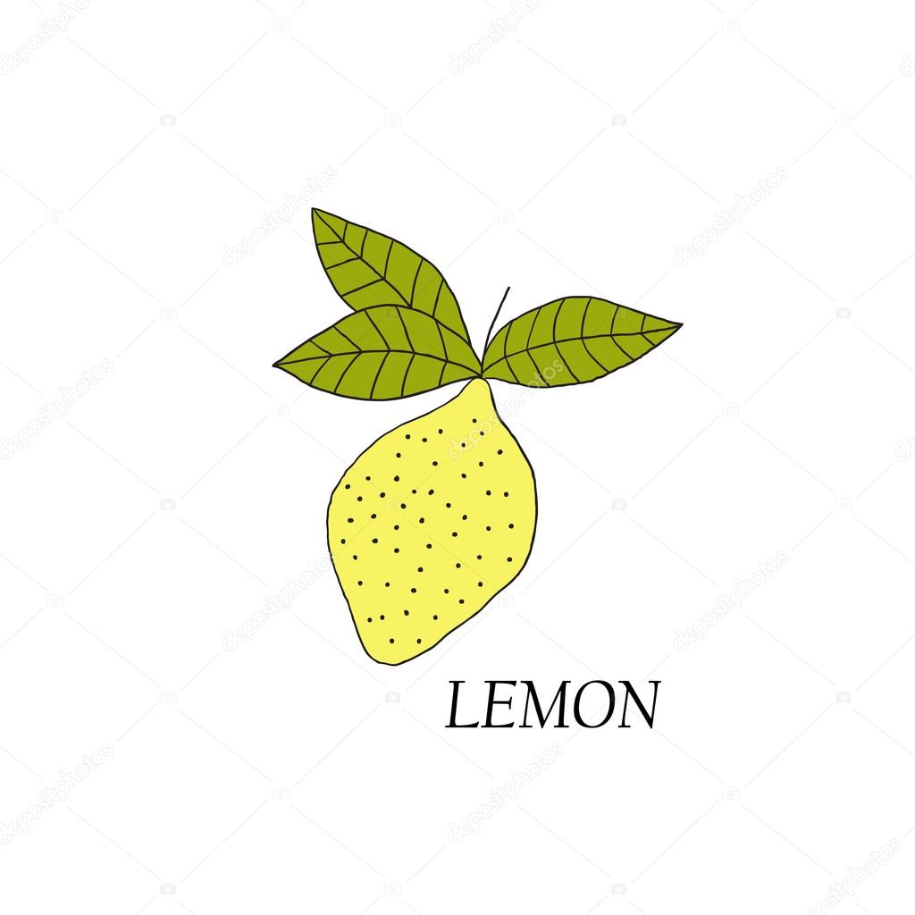 Hand drawn illustrations of yellow lemon on a white background