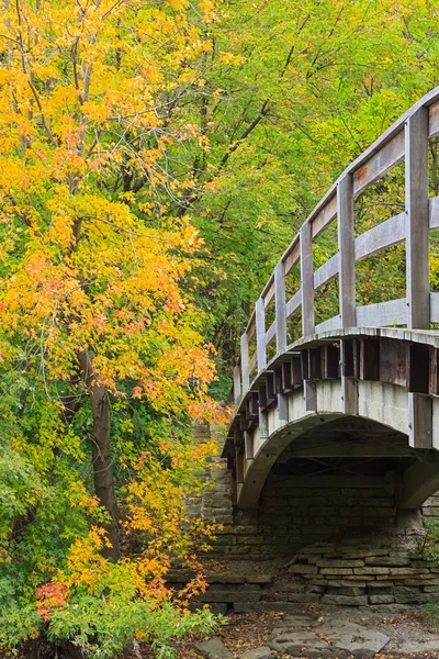 Brug in herfst bos — Stockfoto