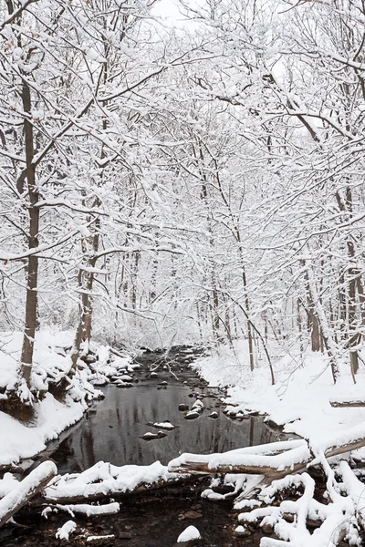 Winterland řeka v lese — Stock fotografie