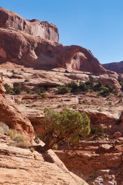 Corona Kemeri, Utah 'taki Arches ve Canyonlands Ulusal Parkı yakınlarındaki kum taşı kayalıkları boyunca yapılan üç millik bir yürüyüş sırasında görüldü.. 