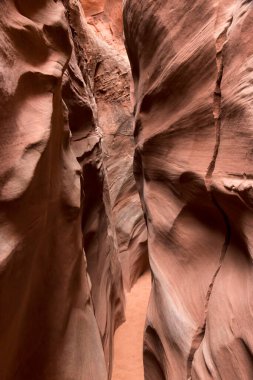 Utah 'ın Grand Staircase Escalante bölgesindeki Ürkütücü Gulch Kanyonu' nda çok dar bir geçit var..
