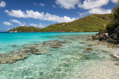 Birleşik Devletler Virgin Adaları 'ndaki St. John adasındaki Little Hawksnest Körfezi boyunca uzanan tropikal su ve yamaç manzarası.