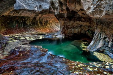 Yeşil havuzlar, akan sular ve metroda dairesel kaya oluşumu. Utah, Zion Ulusal Parkı 'ndaki North Creek' in Sol Çatalı tarafından aşınan eşsiz bir tünel.