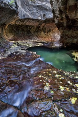 Yeşil havuz, akan su ve Subway 'de dairesel kaya oluşumu. Utah, Zion Ulusal Parkı' ndaki North Creek 'in Sol Çatalı tarafından aşınmış eşsiz bir tünel.