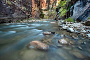 Virgin Nehri Narrows, Zion Ulusal Parkı, Utah 'ta akıntı ve kayalar.