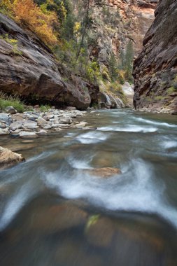 Virgin Nehri Narrows, Zion Ulusal Parkı, Utah 'ta akıntılı ve batık kayalar.